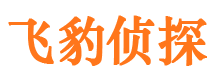 乌伊岭市私家侦探